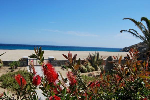 Blick auf einen Strand mit roten Blumen und einer blauen Meerlinie am Sunrise Mykonos Hotel
