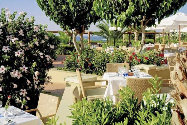 Außenbereich des Kalimera Kriti Hotel & Village Resorts mit Tischen und Stühlen unter Bäumen