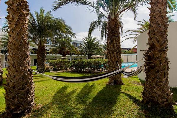 Ein Garten mit einer Hängematte zwischen Palmen, einem Gebäude im Hintergrund und einem Pool.