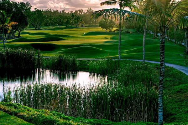 Golfplatz am Wasser im Barcelo Bavaro Beach Resort mit Palmen und Sonnenuntergang.