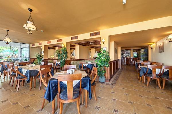 Innenansicht des Bellevue Hotels mit gepflegtem Restaurant, gedeckten Tischen und grünen Pflanzen.