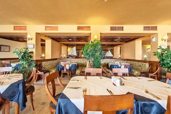 Innenansicht des Bellevue Hotels Restaurant mit gedeckten Tischen, Pflanzen und dekorativen Elementen.