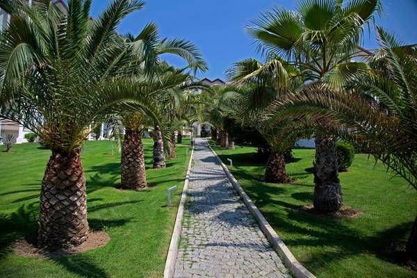 Palmen gesäumter Weg im Garten des Arcanus Side Resort Hotels