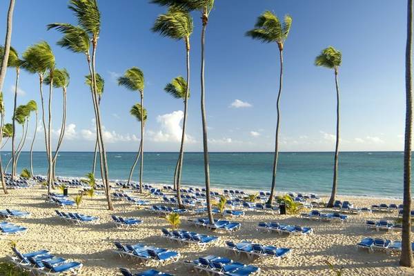 Strand des Impressive Premium Punta Cana mit vielen Palmen und blauen Liegestühlen