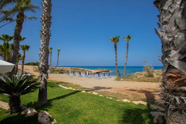 Strand des Louis Althea Beach Hotels mit Palmen und Sonnenliegen