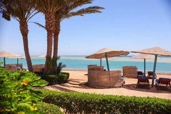 Strandszene mit Palmen, Sonnenschirmen und Liegen am Chedi El Gouna Hotel
