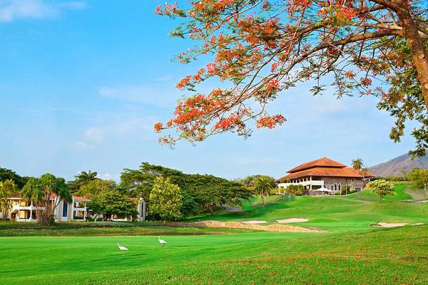 Golfplatz im Westin Reserva Conchal, an All-Inclusive Golf Resort