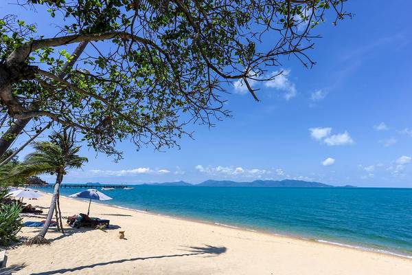 Strand des Saree Samui Resorts mit Palmen, Sonnenschirmen und blauem Meer