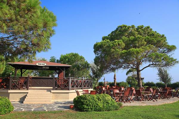 Außenbereich des Club Yali Hotels mit einer Baumbar und vielen Holztischen und Stühlen.