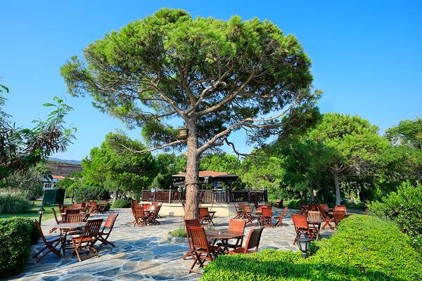 Außenbereich des Club Yali Hotels & Resort mit runden Tischen und Stühlen unter Bäumen.