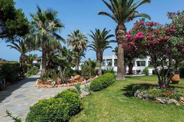 Außenbereich des Lyttos Beach Hotels mit Palmen und Gartenanlage