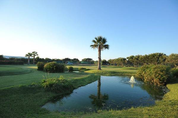 Golfplatz mit einem kleinen Wasserbecken, umgeben von Palmen und grüner Wiese.