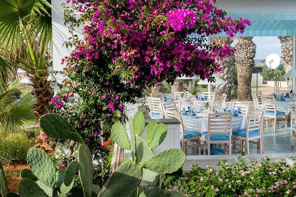 Außenbereich des Lyttos Beach Hotels mit Tisch und Stühlen, umgeben von Pflanzen.