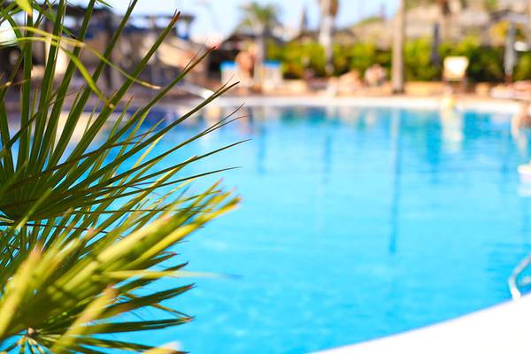 Schwimmbecken im Corallium Dunamar Garden Hotel mit Pflanzen im Vordergrund