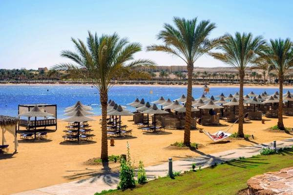 Strand des Steigenberger Coraya Beach Hotels mit Palmen und Sonnenliegen