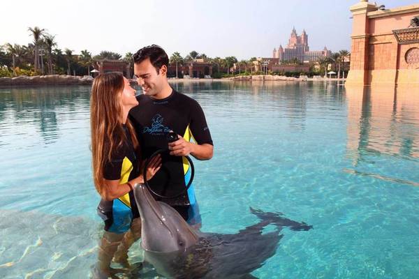 Ein Paar steht im Wasser mit einem Delfin im Atlantis The Palm Hotel.