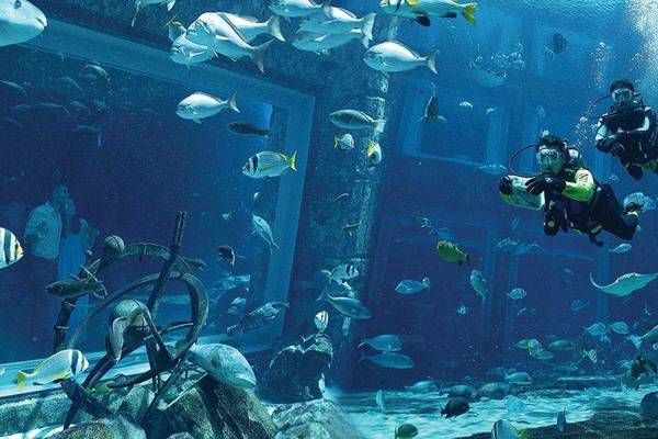 Divers in Tauchbecken im Atlantis The Palm mit vielen Fischen und Unterwasserstrukturen.
