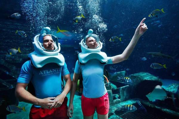 Zwei Menschen im Atlantis The Palm Aquarium, die auf Fische zeigen.
