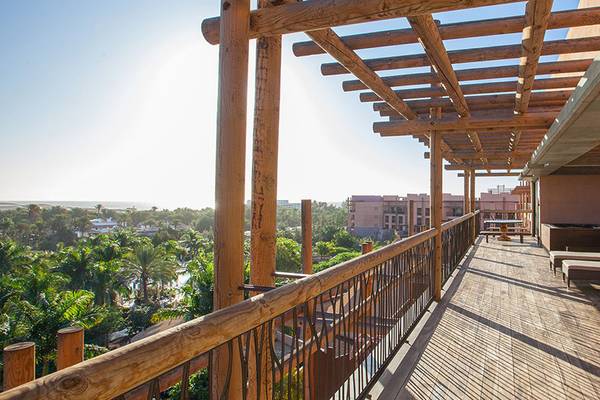 Blick von der Terrasse des Lopesan Baobab Resorts auf einen bewaldeten Bereich.