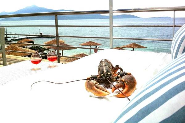 Meerblick vom Hotel Proteas Blu Resort mit Hummer und Rotwein auf dem Tisch
