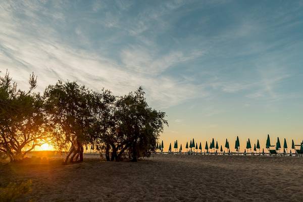 Sonnenuntergang am Strand mit Bäumen und Sonnenschirmen vor dem Club Hotel Marina Beach
