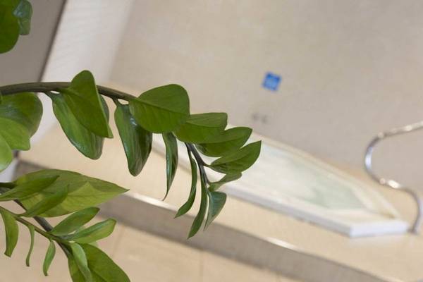 Jacuzzi im Badezimmer des AX Odycy Hotels mit grünen Pflanzen und Edelstahlgriffen.