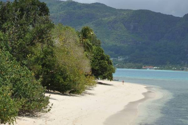 Strand des Cerf Island Resorts mit weißen Sand, grünen Bäumen und Bergen im Hintergrund