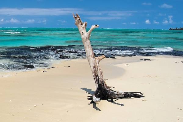 Ein Strand mit einem abgebrochenen Baumstamm am weißen Sand von Cerf Island Resort.