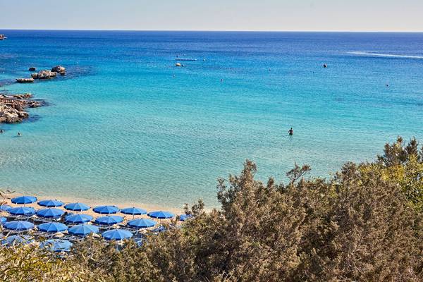 Luftaufnahme eines Strandes mit blauen Sonnenschirmen und schwimmenden Menschen.