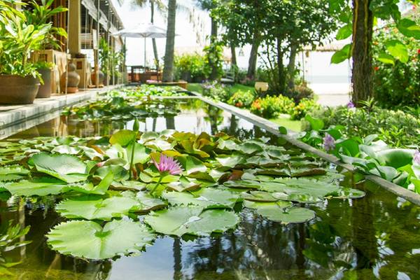 Garten mit Teich und Lotusblumen im Bamboo Village Beach Resort & Spa