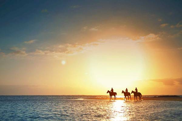 Drei Reiter am Strand bei Sonnenuntergang