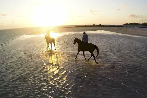 Zwei Reiter auf Pferden am Strand bei Sonnenuntergang im LUX Belle Mare Resort.