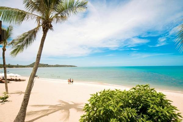 Foto von einem Strand mit Palmen und Menschen, die auf der weißen Sandfläche laufen