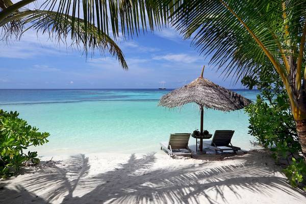 Strand mit Sonnenliegen und Schirm auf dem Gangehi Island Resort