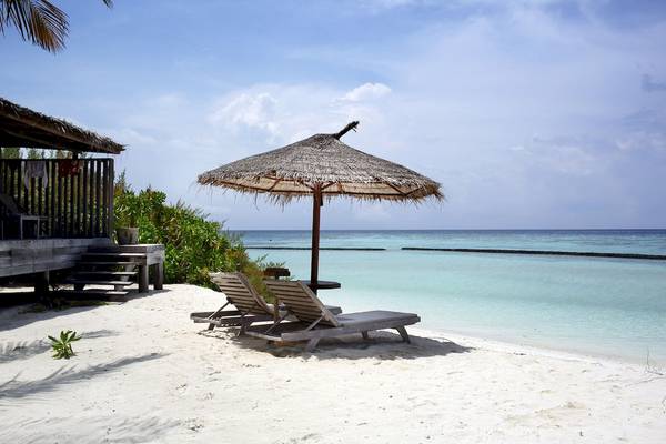 Zwei Sonnenliegen mit einem Sonnenschirm am Strand des Gangehi Island Resorts.