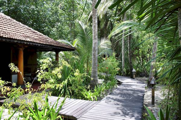 Ein hölzerner Weg führt durch einen tropischen Garten zum Gangehi Island Resort.