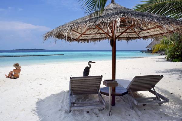 Strandszene mit Sonnenliegen, Hut und Vogel unter einem Palmenschirm am Meer