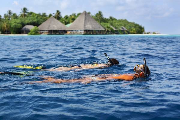 Zwei Personen schnorcheln im Meer vor dem Gangehi Island Resort.