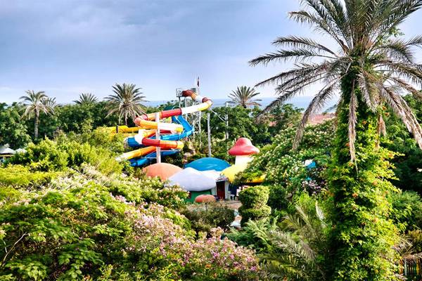 Wasserrutsche im Garten des Belconti Resorts umgeben von Pflanzen und Bäumen.