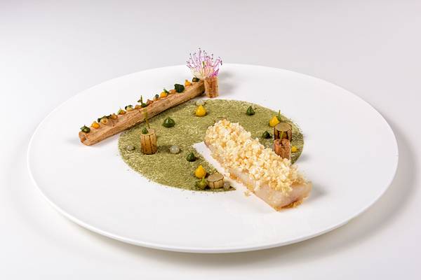 Elysium Resort & Spa Essen Gericht auf einem weissen Teller mit grünem Hintergrund