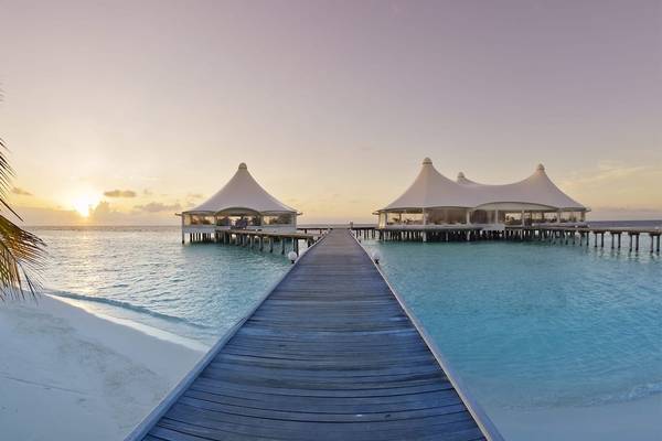 Safari Island Resort am Wasser mit zwei weißen Zelten und einem Holzsteg