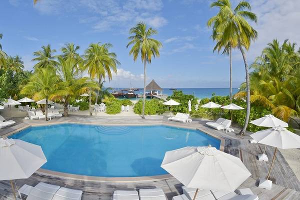 Luftaufnahme des Pools im Safari Island Resort mit weißen Sonnenliegen und Sonnenschirmen.