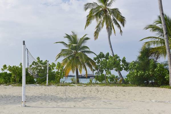 Strandvolleyballnetz am Safari Island Resort mit Palmen und einem Schiff im Hintergrund.