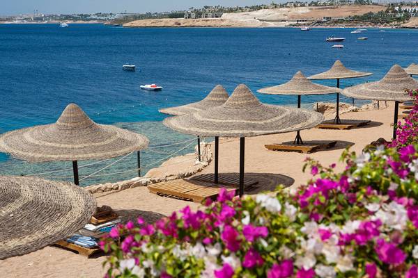 Siva Sharm Resort & Spa Strand mit Sonnenschirmen und Blumen