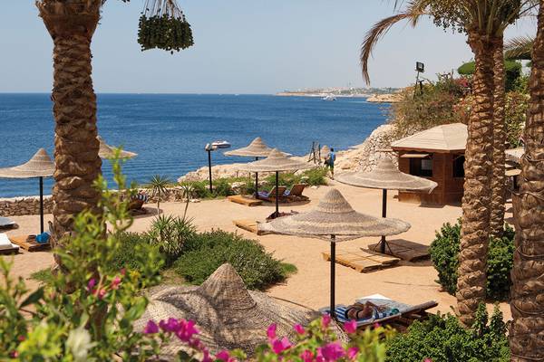Siva Sharm Resort & Spa Strand mit Palmen, Sonnenschirmen und Blick auf das Meer