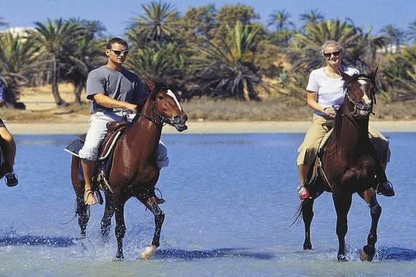 Drei Reiter, zwei Männer und eine Frau, reiten durch flaches Wasser vor einer Küste mit Palmen.