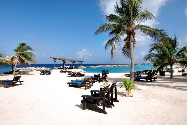 Strand des LionsDive Beach Resorts mit weißen Liegestühlen und Palmen