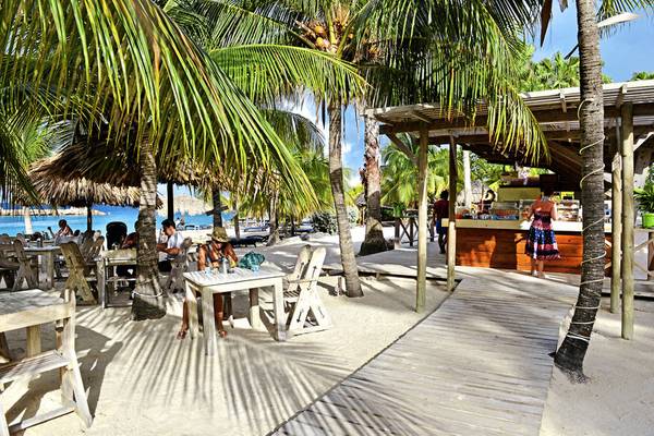 LionsDive Strandrestaurant mit Palmen und Tischen im Freien.