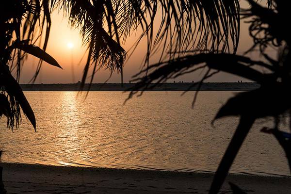 Sonnenuntergang am Strand durch Palmen und Wasser