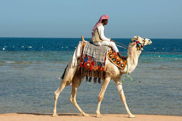 Ein Mann reitet auf einem Kamel am Strand entlang, nahe dem Meer.